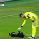 Illustration for article titled Good Dog Interrupts Soccer Match, Is Rudely Denied Belly Rubs